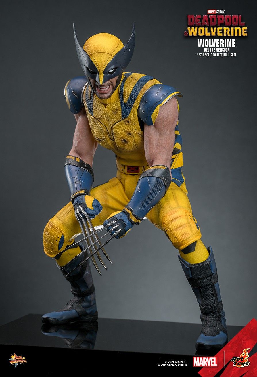 Hot Toys MMS754 Deadpool & Wolverine - Wolverine 1/6th Scale