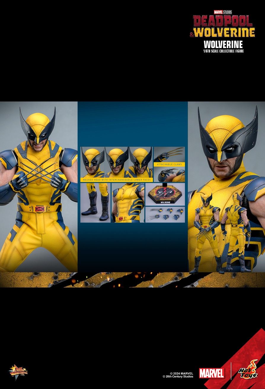 Hot Toys MMS753 Deadpool & Wolverine - Wolverine 1/6th scale