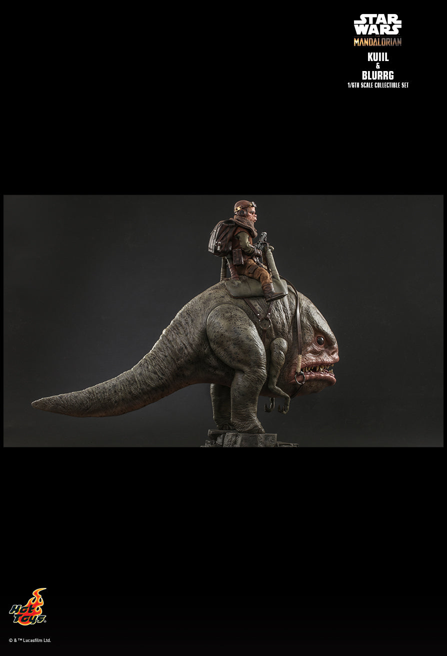 Tms49 Hot Toys (TMS049) Star Wars: The Mandalorian – 1/6th scale Kuiil ...