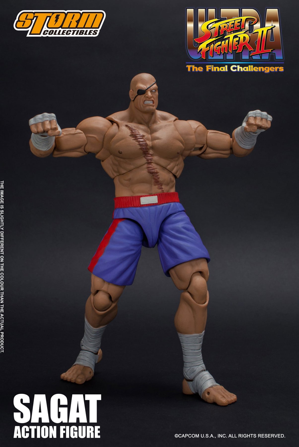 Storm Collectibles Ultra Street Fighter II: The Final Challengers – Sa